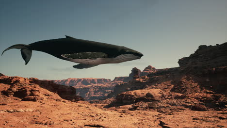 a whale flies over a desert canyon