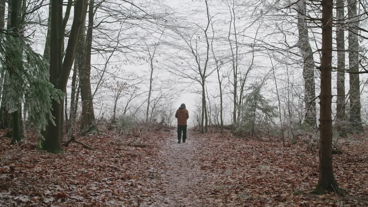 Closer shot near the forest edge as a person walks out of the winter woods and comes to a stop. Frosted trees behind, open space ahead, quiet and reflective mood