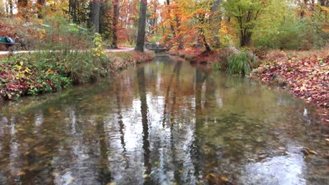 munich autumn trees in the english garden with a drone in the afternoon and evening at 4k 24fps