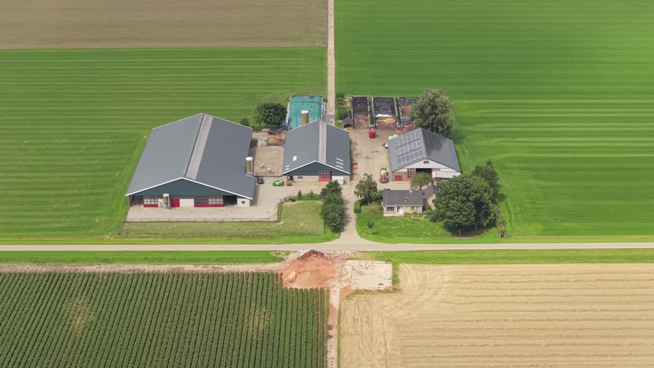 Bondegård på landet ved marker i klart dagslys, landlig scene, Holland