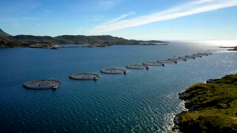 farm salmon fishing in norway