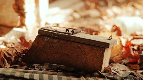 dusty mousetrap sits atop a brick inside a decaying room filled with dry leaves