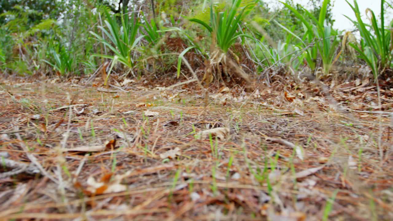 달리기 가는 남자