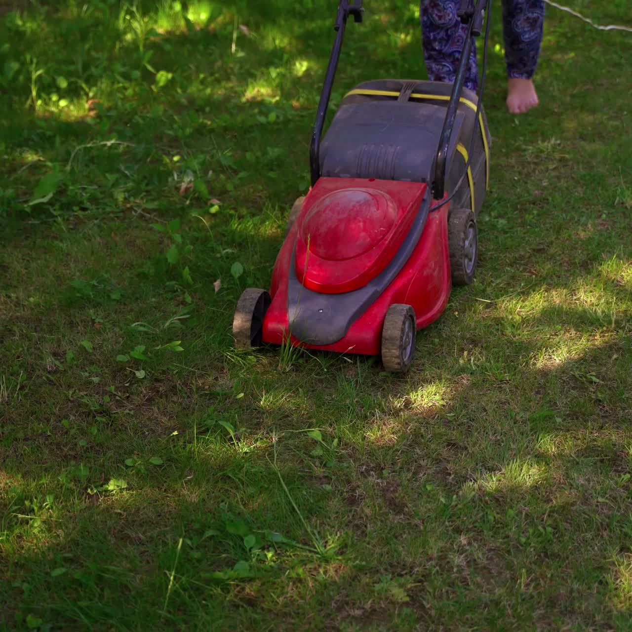 Gardener cuts lawn in garden