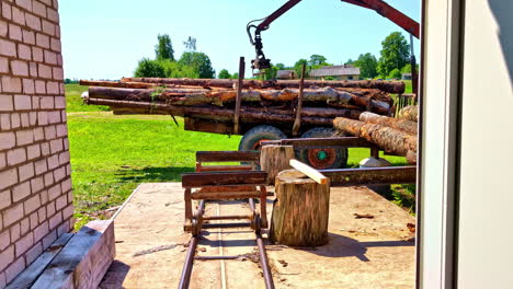 grapple loader unloading pine logs from trailer beside sawmill on sunny day. tractor unloading logs on with a claw