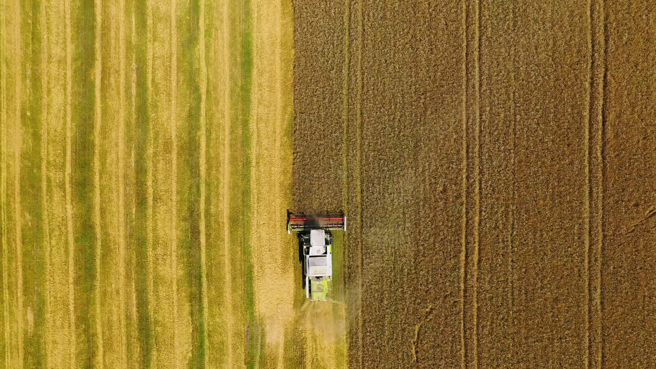 Vista dall'alto della raccolta del grano. Vista dall'alto dal drone della mietitrebbia