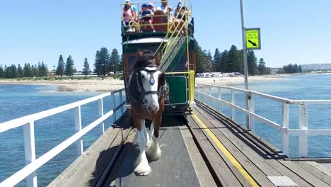 a horse pulls a carriage full of tourists along the original causeway at victor harbor, south australia