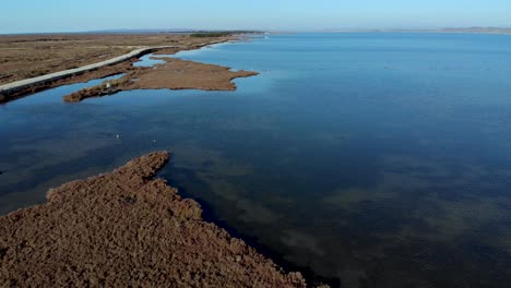 natural lagoon with shallow water and swamps with reeds brown dried grass on a winter sunny day, aerial view