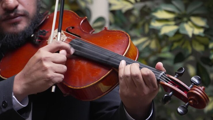 Musician Violinist Playing Strumming Violin With Finger During Music Performance