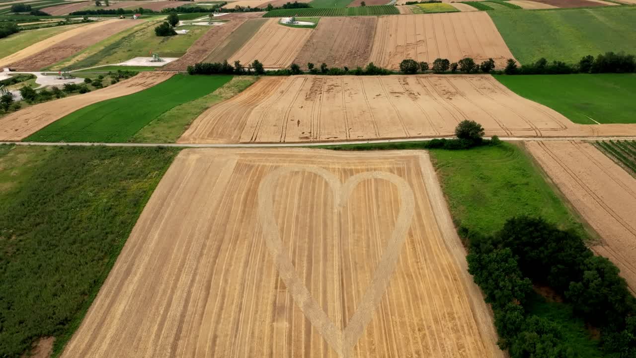 Panoramic View Over Grain Field With Heart Shape Pattern - Drone Shot