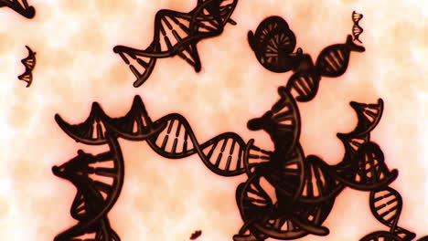exploring the intricate world of micro scale dna structures and patterns