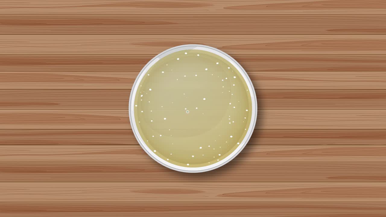 Animation of penicillin growth in a petri dish, showing gradual bacterial inhibition with clear visual transitions