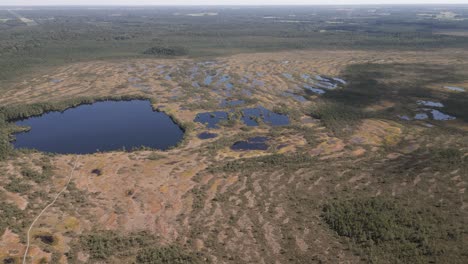 Aerial:-Boardwalk-leads-to-tiny-lake-over-taiga-bog-in-northern-Europe