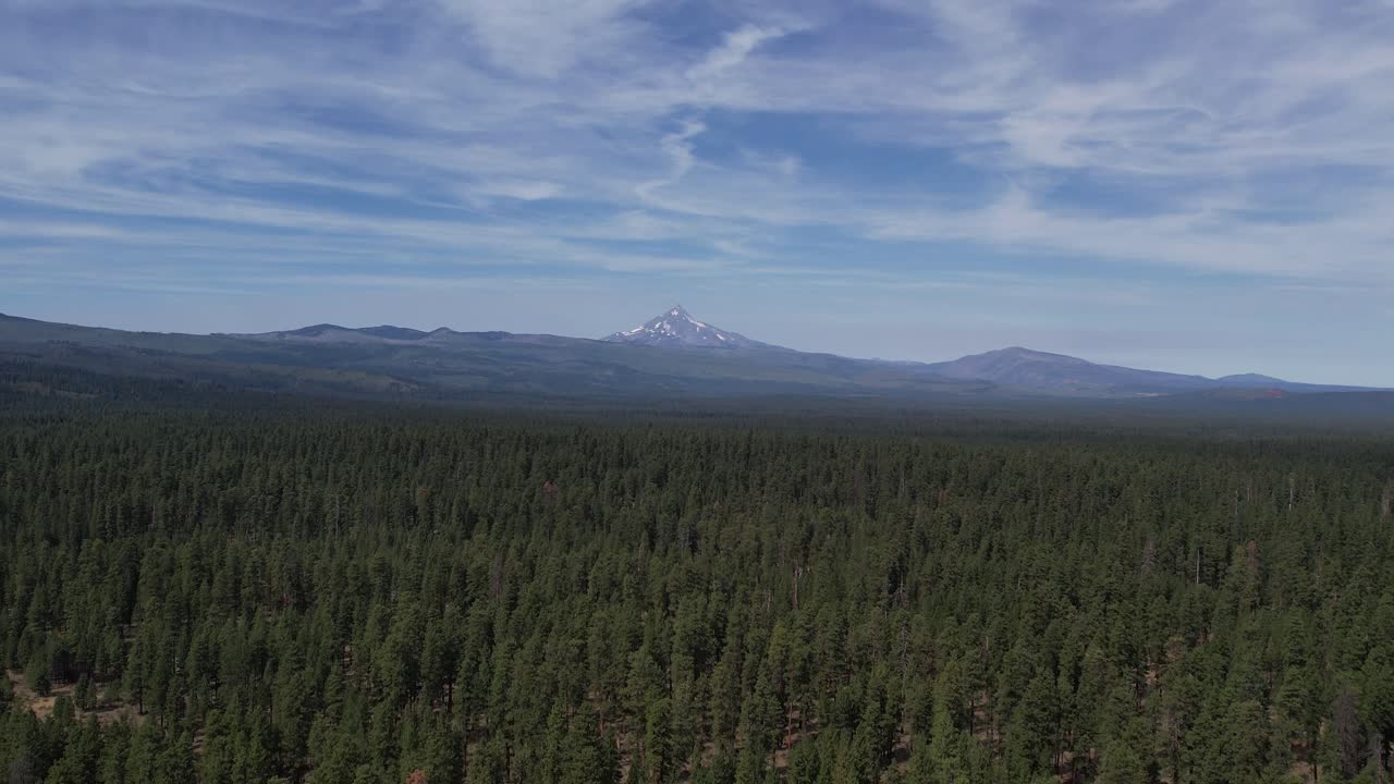 Aerea: Volo tra gli alberi nella foresta dell'Oregon verso il Monte Jefferson.