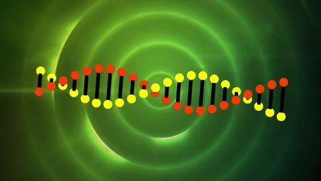 animación de la cadena de adn sobre círculos verdes
