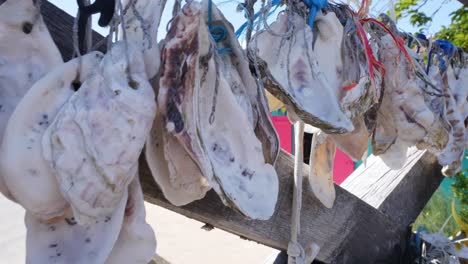 conchas de ostras colgando de un puente. dejadas por turistas con sus nombres en ella. isla de oleron, francia.