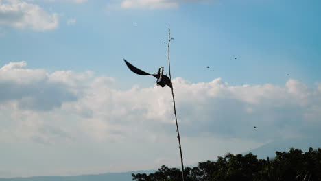 Pest-repeller-at-rice-fields,-hand-made-wind-mill-spin-and-make-sound