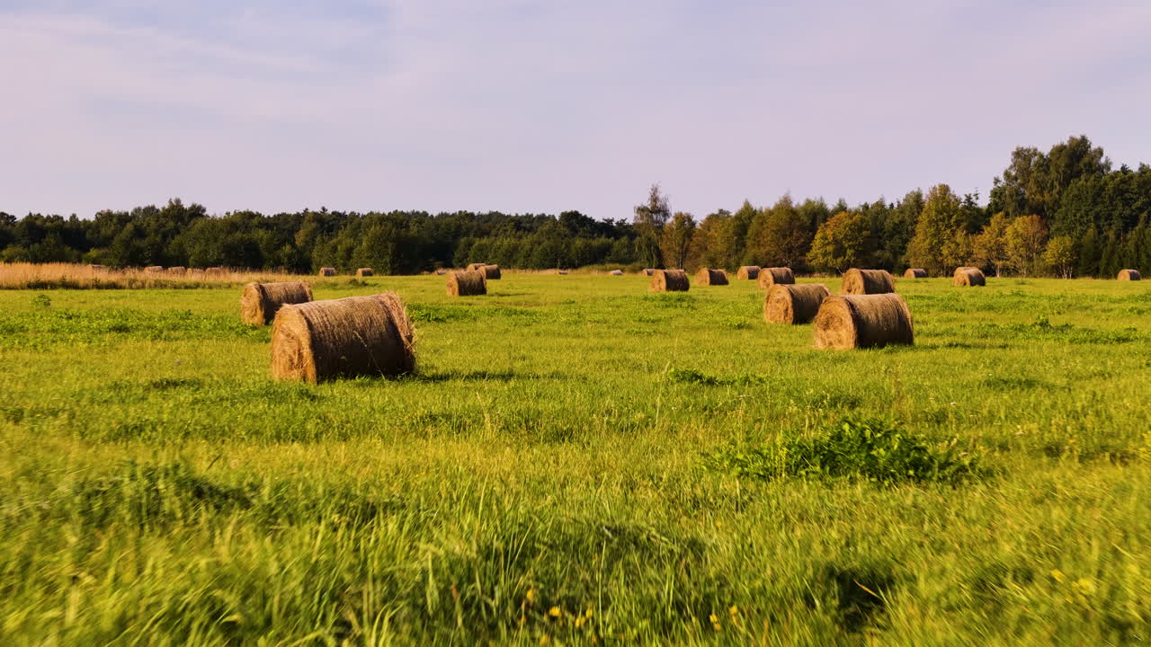 Large Round Hay Bales Rolled And Scattered Across A Field Of Green Grassy Pastures Off The Coast Of Jurkalne, Latvia. Low Aerial Drone Flyover.