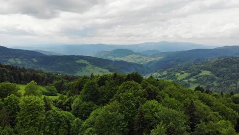 Green-forest-in-Beskid-Sadecki,-Poland,-aerial-view