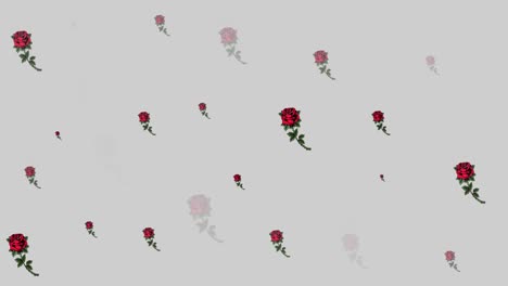 animation of red flowers moving in hypnotic motion on grey background