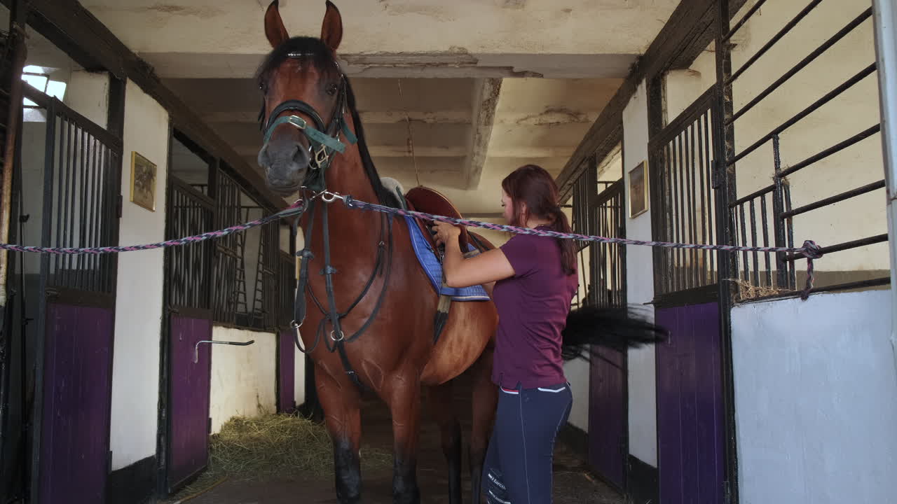 mujer arreglando un caballo en un establo