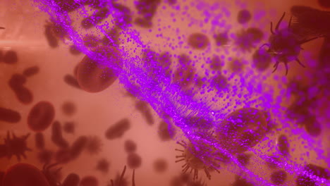 animación de la onda púrpura sobre las células en movimiento sobre fondo rojo