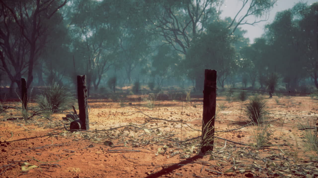 Paesaggio desolato con terreno scolorito dal sole e pali di recinzione erosi al crepuscolo