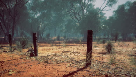Desolate landscape with sun bleached soil and weathered fence posts at dusk