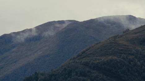 Mountain-Range-With-Dense-Trees-In-The-Forest