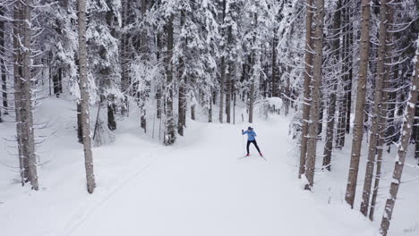 cross-country skiing in a snowy forest