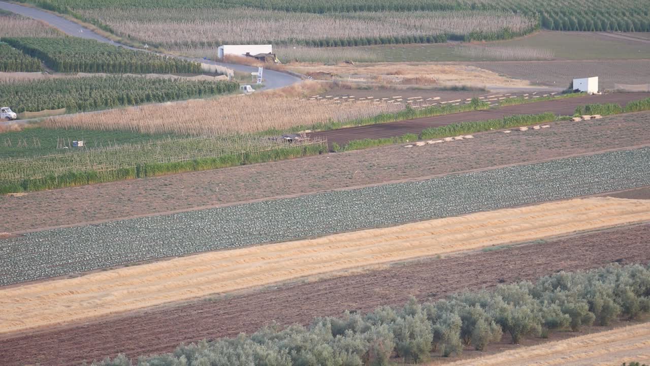 Rangées de cultures colorées et motifs agricoles à Grenade, Espagne. Textures de l'agriculture rurale durable.
