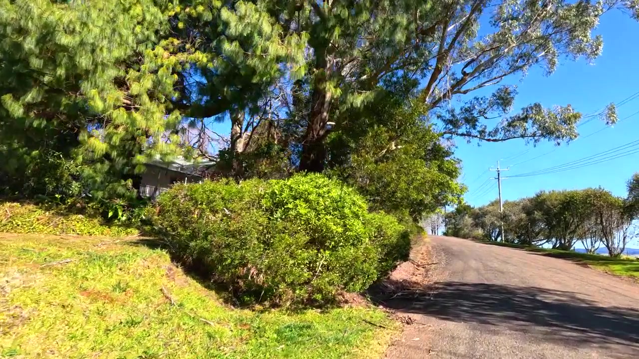 Um veículo trafega por uma estrada de asfalto ensolarada, passando por árvores verdes e casas suburbanas.