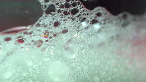 macro bubbles close up soapy isolated