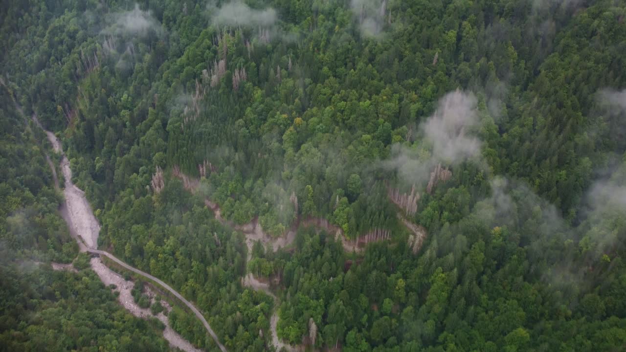 High flying aerial footage over a trail path leading forest a dense pine wood forest in a valley in Southern France. Video starts panned down and pans up to reveal the vast area and low lying clouds