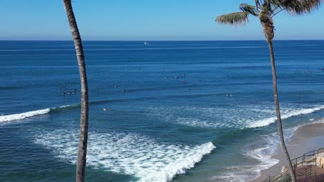 Drone-shot-panning-through-palm-trees-to-reveal-surfers-surfing-in-Southern-California
