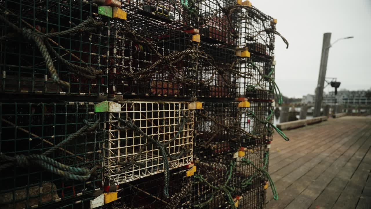 negocio de la langosta