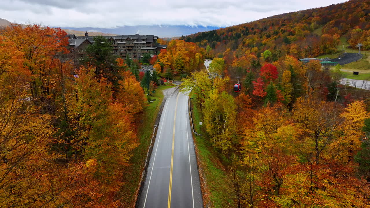 Few cabins move by the cable road. Drone footage over the highway crossing the beautiful colorful forests in autumn.
