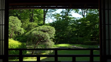 empujón cinematográfico lento hacia el jardín paisajístico japonés a través de la ventana
