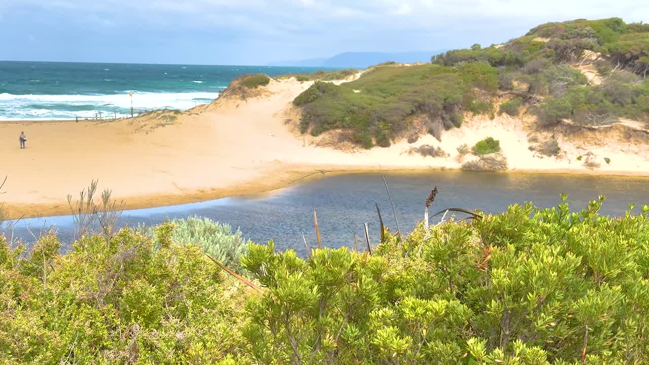 A serene beach landscape with lush greenery and ocean waves under bright daylight, captured at Great Ocean Road, Australia