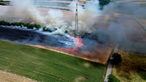 Feldbrand---Brennendes-Getreidefeld---Drohnenaufnahme-Aus-Der-Luft