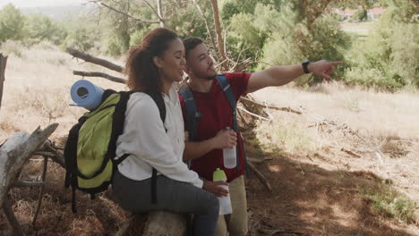 feliz pareja afroamericana sentada en el tronco de un árbol y bebiendo agua en el bosque, cámara lenta