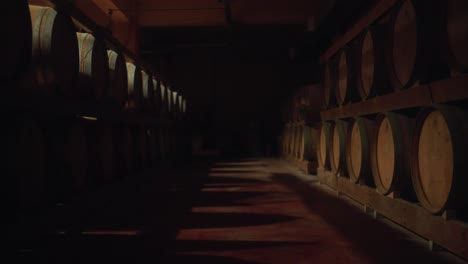 Wide-shot-of-barrels-in-distillery