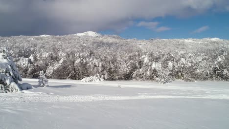 snowy mountain forest landscape