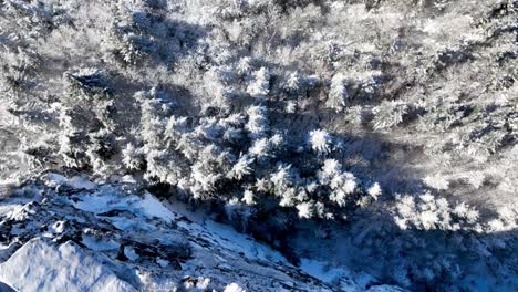 Blick-Aus-Der-Luft-über-Die-Klippe-Auf-Dem-Großvaterberg,-North-Carolina