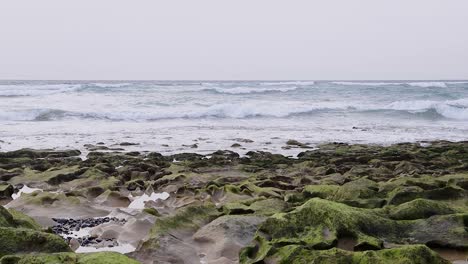 breathtaking-early-morning-cinematic-seaside-scene-with-algae-on-rocks,-rolling-waves,-pink-sky-at-Porto-Santo-Island-in-Portugal-50fps-static-shot