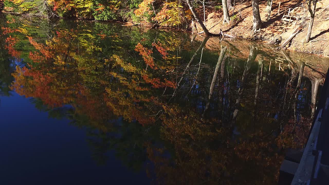 Reflections of Oak leaves on North side of river Presumpscott River, Windham, Me