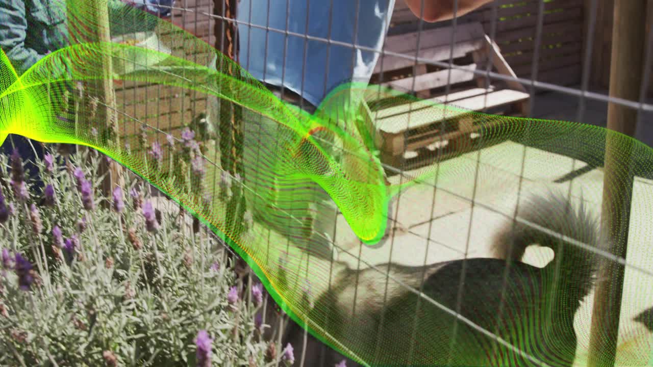 Pet care couple feeding cat with metal bowls through wire-mesh fence unlatching gate allowing exit