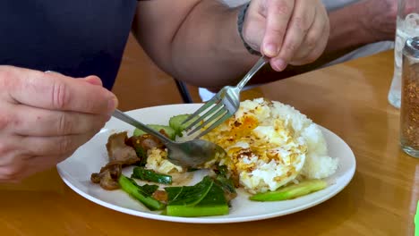 persona comiendo carne de cerdo crujiente con arroz y verduras