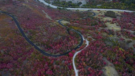 Kurvenreiche-Bergstraße-Im-Herbstlichen-Herbstfarbenwald-In-Utah---Drohnenaufnahme-Aus-Der-Luft