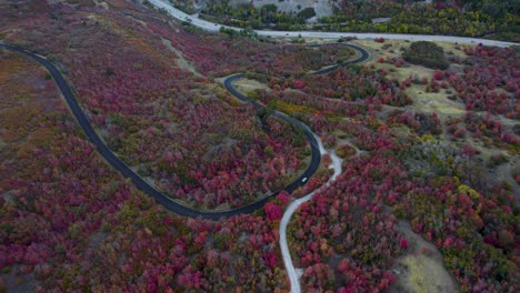 sinuoso camino de montaña en el otoño colores del bosque en utah - vista aérea de avión no tripulado